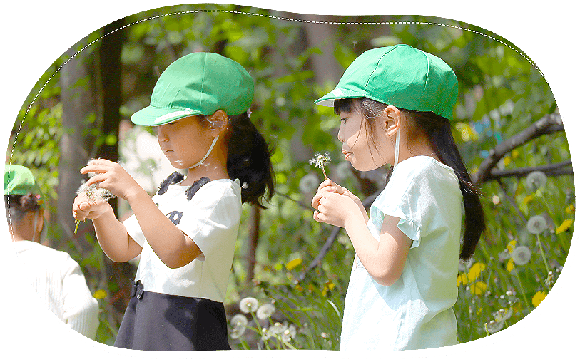 大自然に宇囲まれた緑豊かな環境の中で子どもの能力を最大限に伸ばす質の高い教育とたくさんの感動体験を