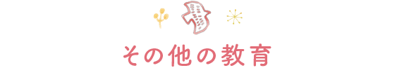 その他の教育