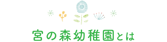 宮の森幼稚園とは